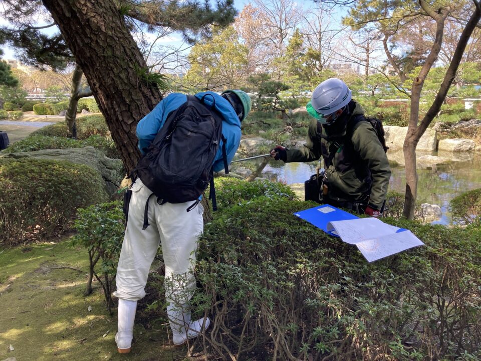 【活動紹介】大濠公園日本庭園で樹木調査！